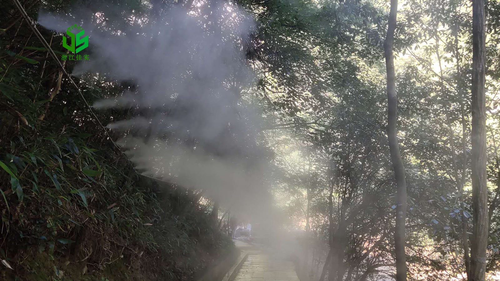 浙江人造雾雾森系统喷雾造景怎么选更实用