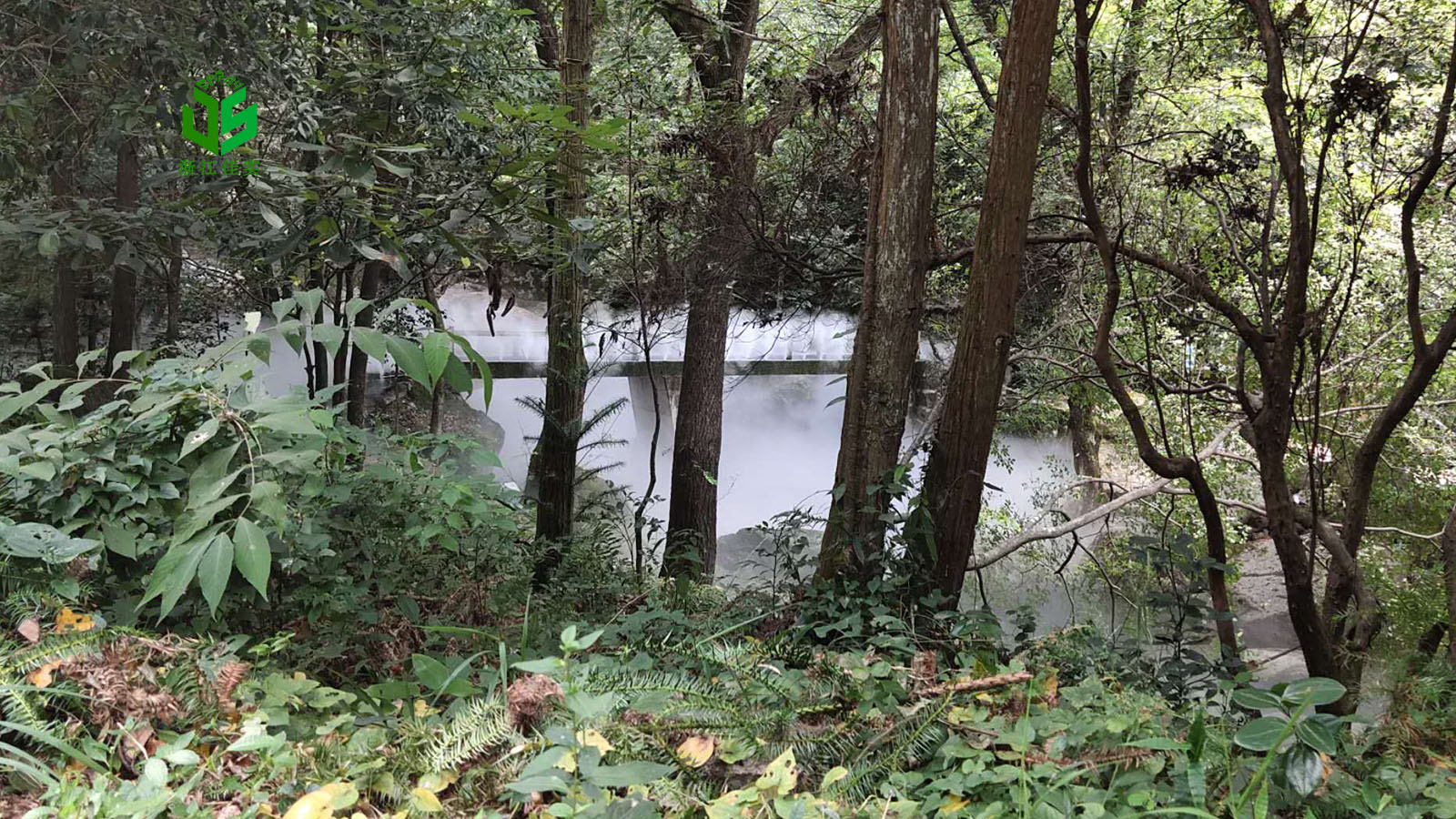 浙江人造雾雾森系统喷雾造景常见问题解答